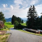 Von Lajen führt ein asphaltiertes Sträßchen zum Waldrand