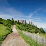 Der Wanderweg Nr. 10 nähert sich den Felswänden des Schlern