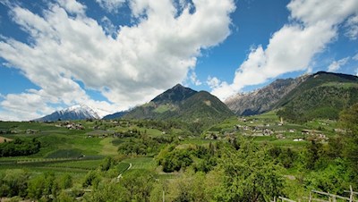 Der Gegend um Meran wohnt ein besonderer Liebreiz inne