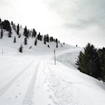 Ein kurzes Stück folgt die Schneeschuhwanderung der Trametschpiste