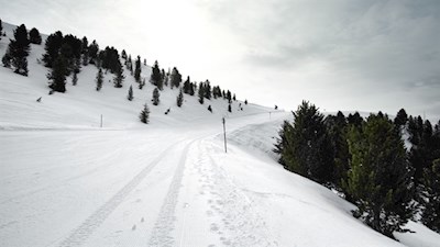 Ein kurzes Stück folgt die Schneeschuhwanderung der Trametschpiste