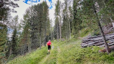 Im angenehmen Anstieg zur Maurerberghütte