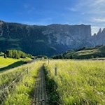 Vor der Kulisse des Schlern zur Gstatsch Schwaige