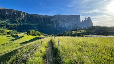 Vor der Kulisse des Schlern zur Gstatsch Schwaige