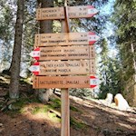 Auf dem Rückweg kann man auch dem Weg Nr. 15 zur Sattlerhütte folgen