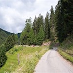 Auf breitem Wege zur Schäfer- und Leachalm