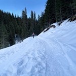 Winterwandern im Eggental