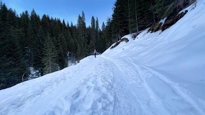 Winterwandern im Eggental