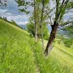 Wiesenweg nach Telfes