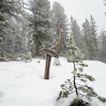 Die Wanderung zur Ackerboden Alm ist gut ausgeschildert