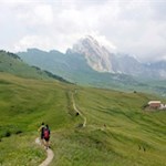 Durch malerische Almwiesen in Richtung Cuca-Scharte