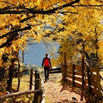 Nahe den Erdpyramiden