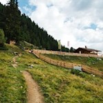 Inmitten sattgrüner Weidewiesen liegt die Schönbergalm