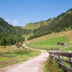 Zunächst schlängelt sich der Wanderweg Nr. 16 sanft durch die malerischen Wiesen