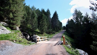 Der Weg zur Getrumalm ist auch mit einem geländetauglichen KInderwagen erwanderbar