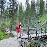 Wooden bridges lead safely over brooks