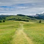 Von der Gostner Schwaige führt ein Wiesenweg zum Wanderweg Nr. 7