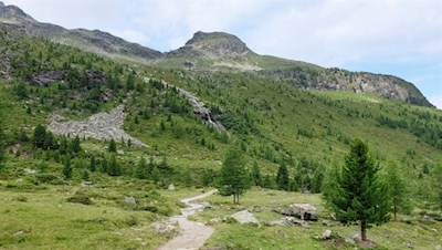 Über die freien Weidehänge zur Kasseler Hütte