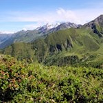 Blick ins hintere Ahrntal mit der vergletscherten Dreiherrenspitze