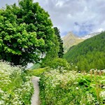 Der Kreuzweg nach Heilig Geist führt durch eine idyllische Landschaft