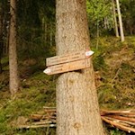 Die Wanderung nach St. Leonhard ist bestens ausgeschildert