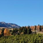 Herbstliches Farbenspiel auf der Villanderer Alm