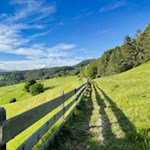 Durch schöne Wiesen zum Völser Weiher
