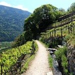 Bereits im 13. Jahrhundert wurden in Merans Umgebung künstliche Wasserkanäle angelegt