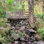 Der Familienwanderweg führt über kleine Bachläufe