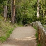 Auf sanften Wegen zu den Rittner Erdpyramiden