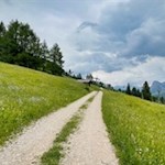 Durch malerische Blumenwiesen zurück zum Karerpass