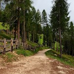 Auf breiten, kinderwagentauglichen Wegen zum Sompuntsee