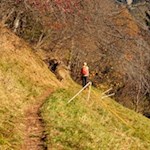 Gently meanders the panoramic path through meadows and forests