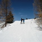 Auch Skitourengeher genießen den Aufstieg zum Bergrestaurant Pichlberg