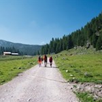 Auf der Faneshochebene kurz vor der Lavarellahütte