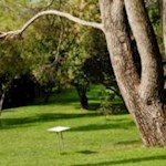 Infotafeln geben Aufschluss über die reichhaltige Flora des Arboretums