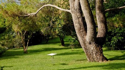 Infotafeln geben Aufschluss über die reichhaltige Flora des Arboretums