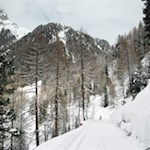 Anstieg zur Steinzgeralm