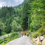 Anfangs folgt die Wanderung kurz asphaltierten Wegen