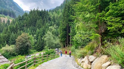 Anfangs folgt die Wanderung kurz asphaltierten Wegen