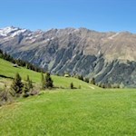 Durch die malerischen Almwiesen in Richtung Gewingesalm