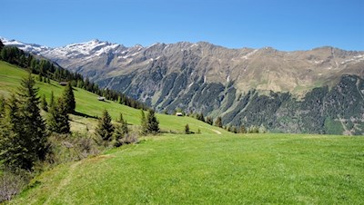 Durch die malerischen Almwiesen in Richtung Gewingesalm