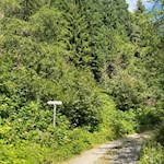 Kurz folgt der Anstieg zur Grente Alm breiten Wegen