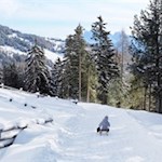 Rodeln von der Klausner Hütte