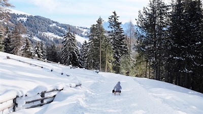 Rodeln von der Klausner Hütte