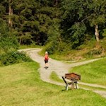 Leichte Wanderung zur Busegge Alm im Ahrntal