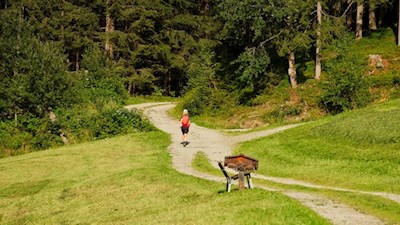 Leichte Wanderung zur Busegge Alm im Ahrntal