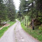 Der Rückweg von der Tesselberger Alm erfolgt auf dem Hinweg