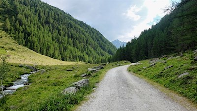 Entlang des fröhlich plätschernden Knuttenbachs zur Knuttenalm
