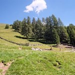 Durch sanfte Bergwiesen in Richtung Hörneggele